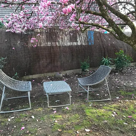D'hotes 'sous Le Magnolia'
