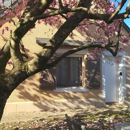 D'hotes 'sous Le Magnolia' * Oloron-Sainte-Marie